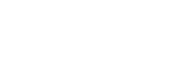 Microsoft Elite Partner Badge