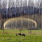 Otago Regional Council compliance are checking dairy farms are ship-shape. PHOTO: NICK BROOK