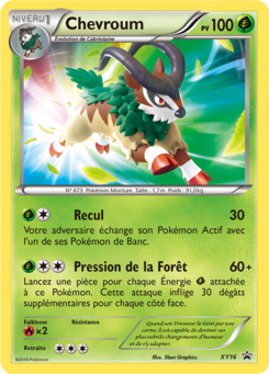 Chevroum (Promo XY 16)