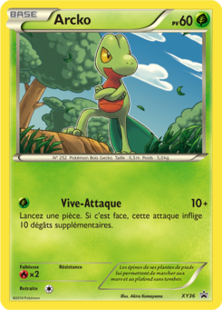 Arcko (Promo XY 36)