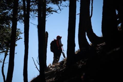 French hunters’ lobby launches EU election bid