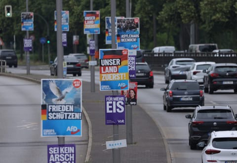 AfD politician stabbed by man wielding box cutter