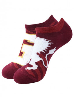 Team Gryffindor - Harry Potter Official Socks