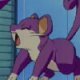 Wild's Rattata