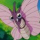 Wild's Venomoth