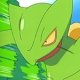 Ash's Sceptile