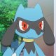 Ash's Riolu