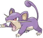 Rattata Art