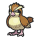 Pidgey