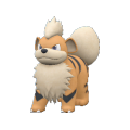 Growlithe