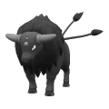 Tauros