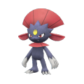 Weavile