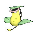 Victreebel