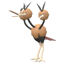 Dodrio