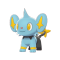 Shinx