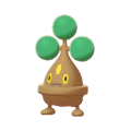 Bonsly