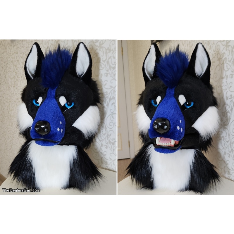 Black Blue Canine Partial