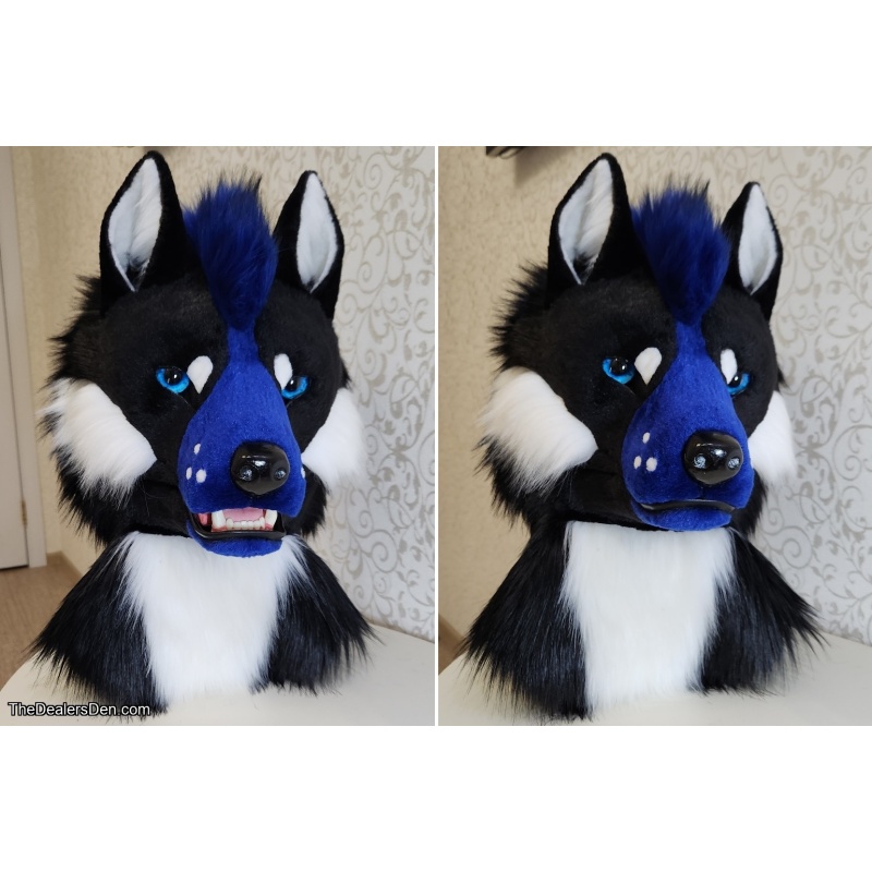 Black Blue Canine Partial