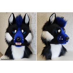 Black Blue Canine Partial