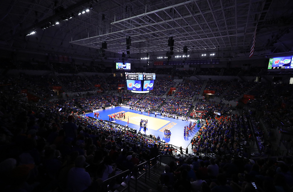 gator volleyball