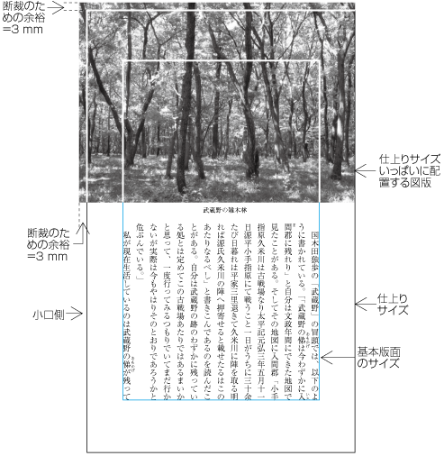 裁切りの例