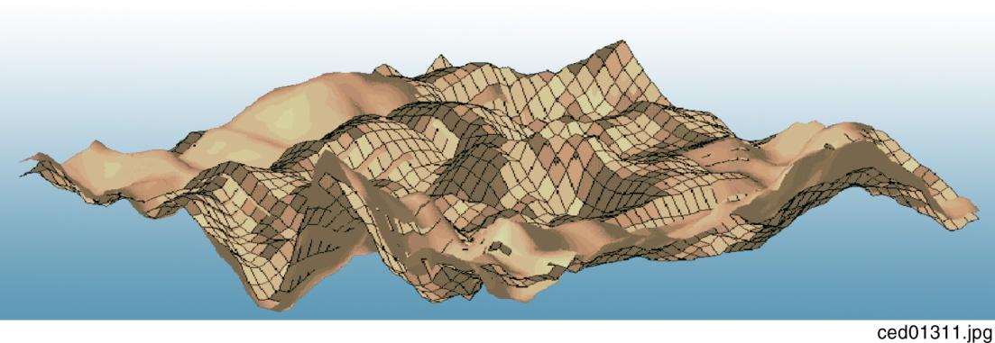 digital elevation model