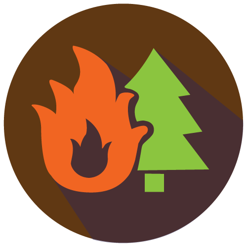 Wildfire Icon